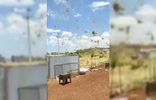 Siverek’te çıkan hortum paniğe neden oldu