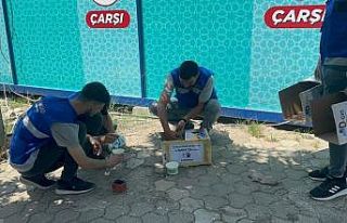 Sokaktaki can dostlarını depremin ilk günlerinden...