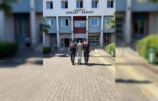 Su motoru hırsızı jandarmadan kaçamadı