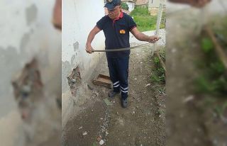 Su saatine giren yılan paniğe neden oldu
