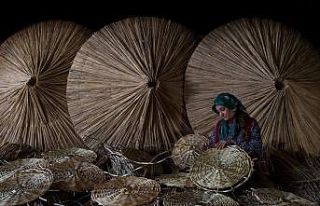 Sultan Sazlığı’nın Doğal ve Ekonomik Zenginliği...