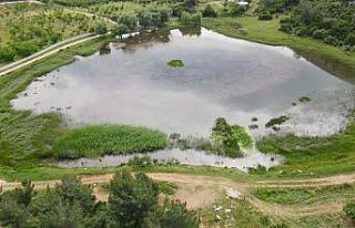 Sülüklü Göl doğa ve fotoğraf tutkunlarının...
