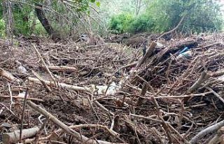 Sungurlu’da dere ve çaylar taştı, tarım arazileri...