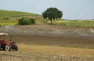 Suya kavuşan topraklarda üreticinin yüzü güldü