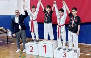 Taekwondo şampiyonasına Alaplı damgası