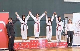 Taekwondocular şehitler için ter döktü