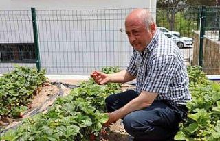Talas’ta deneme bahçeleriyle yeni ürünlere teşvik