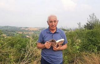 Tarihçi yazar Yurtsever: "Hz. Nuh’un gemisi...