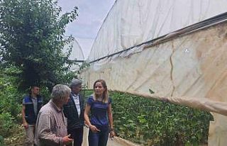 Tarım alanlarında hasar tespit çalışmaları gerçekleştirildi