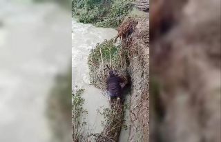 Tarım arazilerini selden korumak için barajı tıkayan...