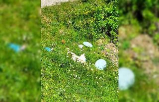 Taşçılar Göleti’nin çevresi çöplüğe döndü