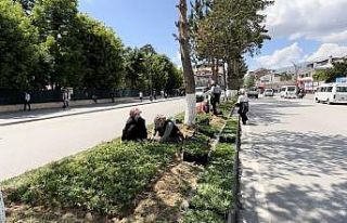 Tatvan kadın eliyle güzelleşiyor