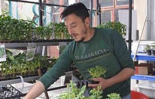 Tavşanlı’da havaların ısındı, fide satışları...