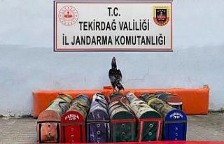 Tekirdağ’da çiftliğe horoz operasyonu: 20 bin...