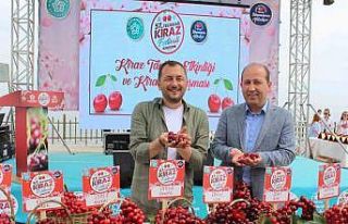 Tekirdağ’da kirazlar yarıştı