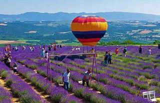 Tekirdağ’da mor şenlik