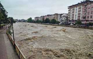 Terme Çayı’nda korkutan görüntü