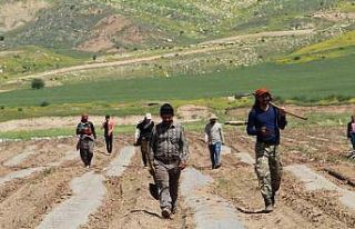 Terörün yerini huzura bıraktığı Şırnak arazileri...