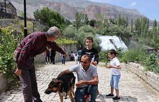 Tortum Şelalesi’nin güvenliğinden K9 Duman sorumlu