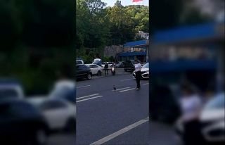 Trafiği durdurup yardım etmek istedi, karganın...