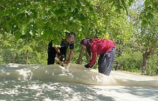 Tunceli’de dut üreticileri dayanışma içerisinde...