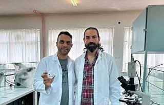 "Uğur böceği örümceği zehirsiz"