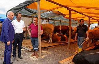 Ümraniye Kurban Bayramı’na hazır