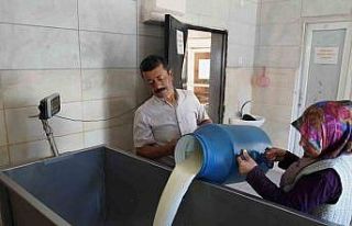 Üreticinin yüzü bu projeyle güldü