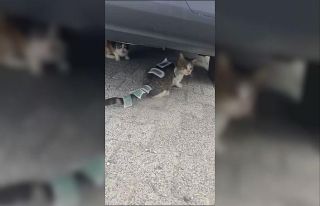 Üsküdar’da vücuduna ağda bantları yapıştırılan...