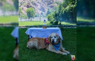 Uyuşturucu arama köpeği ‘Altın’ pasta kesilerek...