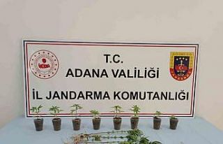 Uyuşturucu operasyonunda 7 şüpheli yakalandı