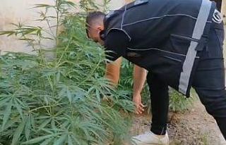 Uyuşturucudan yakalanan kadının eski kocası da...