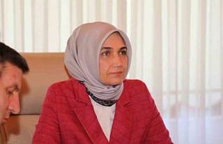 Vali Yiğitbaşı’ndan orman yangınları ile ilgili...