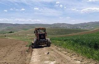 Van Büyükşehir Belediyesinden arazi yolu çalışması
