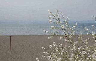 Van Gölü’nün su seviyesinde iyileşme yaşanıyor