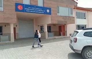 Van’da 1 organizatör tutuklandı