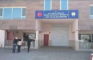 Van’da göçmen kaçakçılığı operasyonu