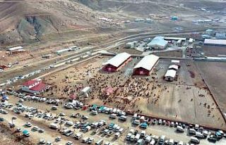 Van’da kurban satış ve kesim yerleri belirlendi