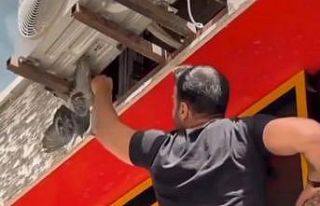 Van’da mahsur kalan güvercin ile kedi kurtarıldı