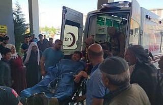 Van’da mera otlatma kavgası: 4 yaralı