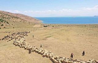 Van’da yaylaya güneş enerjisiyle su ulaştırıldı