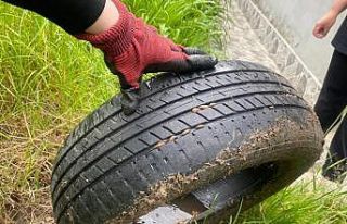 Vatandaşı bezdiren böceklerden kurtulmanın yolları