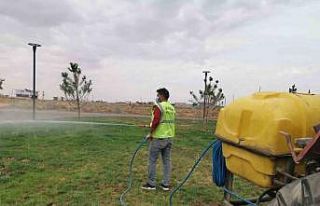 Viranşehir genelindeki parklarda ilaçlama çalışması...