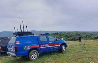 Yabani hayvanların saldırısı sonucu 20 küçükbaş...