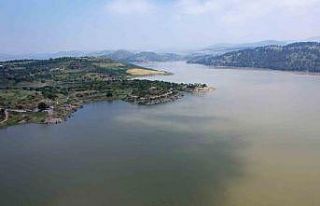 Yağmurlarla dolan barajlar umut verdi