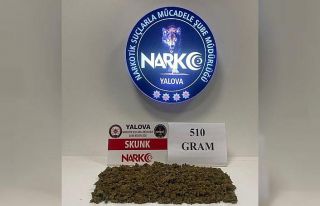 Yalova’da uyuşturucu operasyonlarında 2 tutuklama