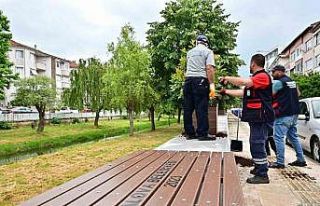 Yalova’da Vandallar iş başında