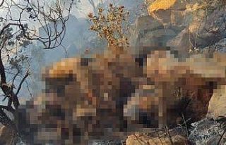 Yangında cesedi bulunmuştu, boğularak öldürüldüğü...