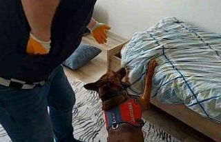 Yatak altından uyuşturucu çıktı