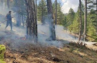 Yaz yağmurları yıldırım yangınlarını arttırdı